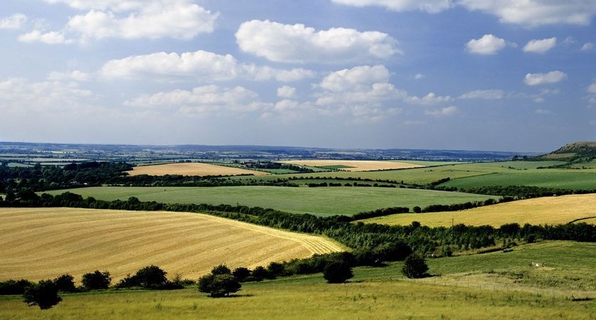 Experts estimate that an additional 75000 acres of land across the country – equivalent to Champagne region in France – is prime for grape growing & could be exploited by new-comers seeking to join the ranks of internationally acclaimed English wines