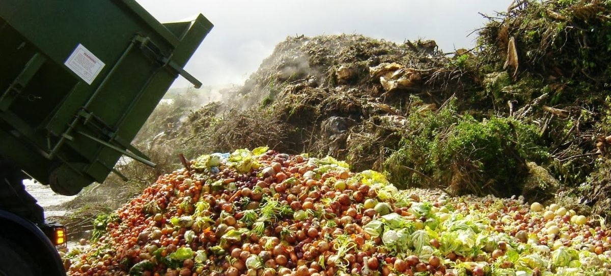 Turning rotting food and farm waste into electricity