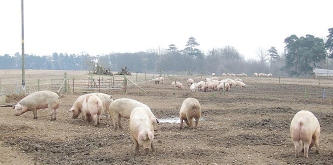 The European Commission wants to help farmers unlock investment funding from banks that have become much more cautious since the financial crisis