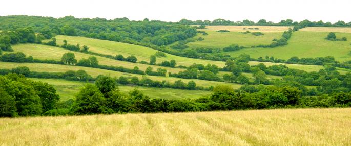 With over 70% of UK farmland in an environmental scheme, equating to 7.4 million hectares; the need to explain how agriculture benefits everyone in the UK becomes more important