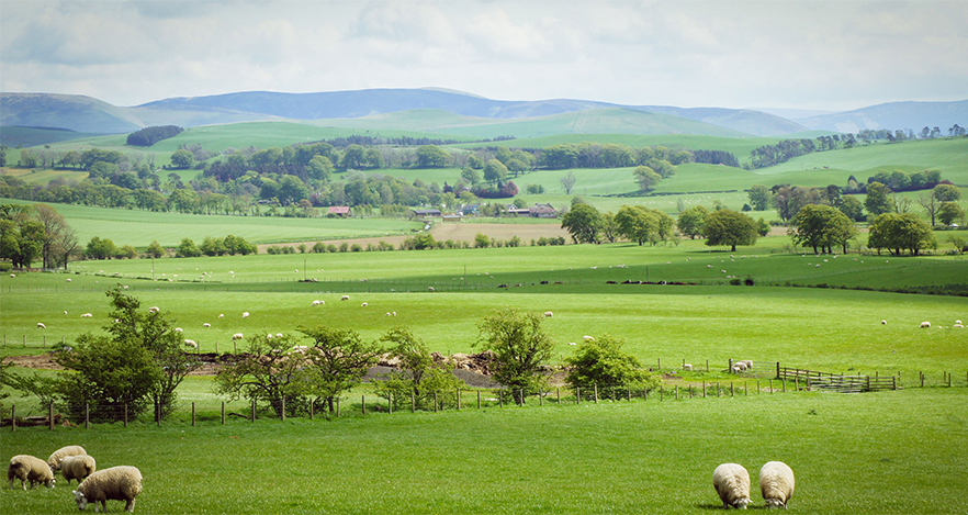 Defra has assigned 2016 as the ‘Year of British Food’ and will run a many different events throughout the coming year