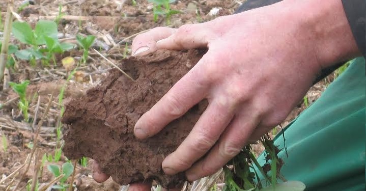  A number of agricultural practices can enhance soil carbon content and contribute to improving long-term crop productivity