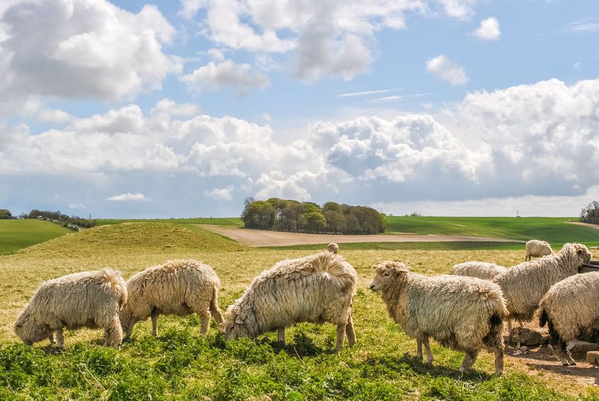 Prince Charles said farmers and rural communities were facing a "grave situation" but added people "really can help by buying British food whenever we can"