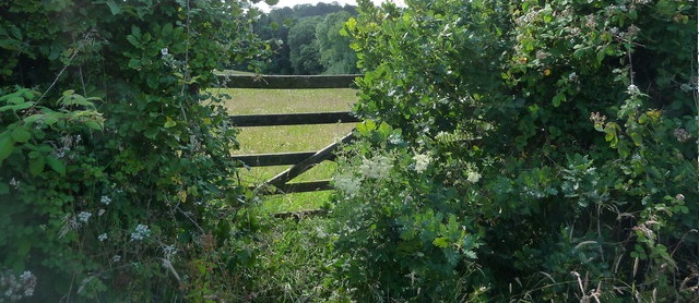 Andrew described offers of compensation made by the estate as derisory because he invested around £500,000 in the farm and its equipment (Stock photo)