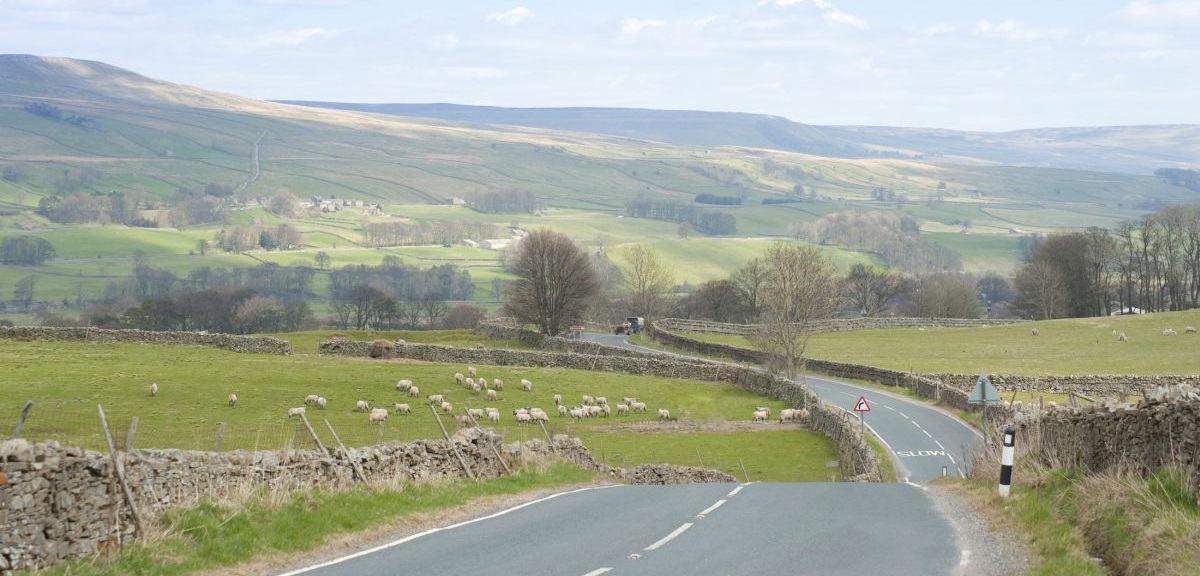 THINK! has partnered with a farmer to turn potential road hazards into impossible-to-ignore warning signs
