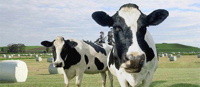 European Commission farms chief Phil Hogan has repeatedly said ensuring fairness in the supply chain is one of his top priorities