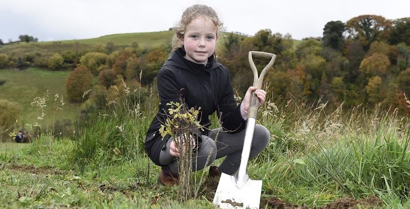 Olivia Dawson Cregg, from Bangor, plants trees with the Woodland Trust