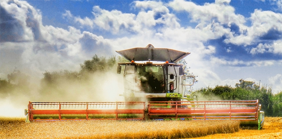 The total area of arable crops for harvest 2016 is predicted at 4.53Mha, up 12,000ha on the final June Census Results for 2015