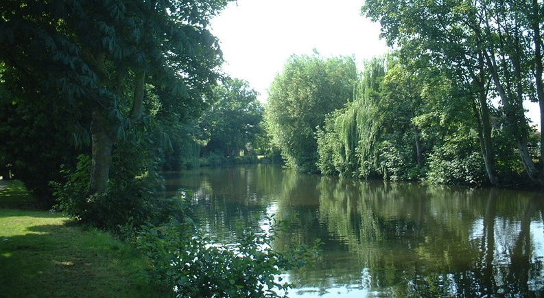 Currently only 17% of the rivers in England are in good health, according to the Government’s own statistics