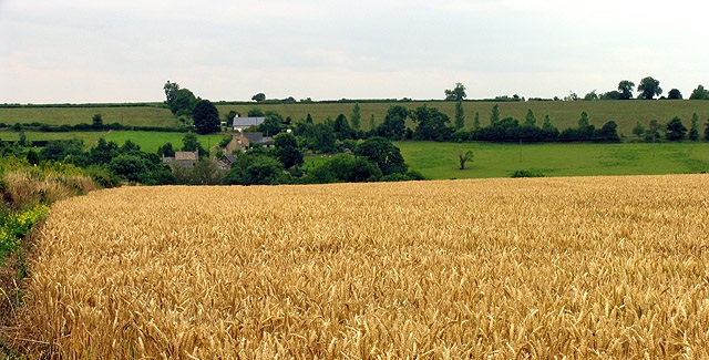 Amongst the topics there is guidance on contracts, brand protection, tenancies and food law