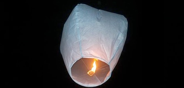 Animals can get entangled in sky lanterns or eat them, which can cause serious problems or even death