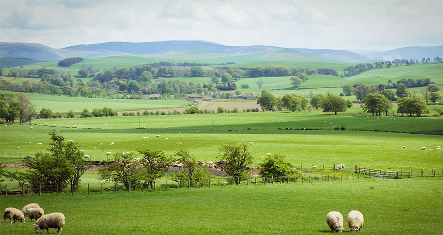 “In Wales, we need a competitive and sustainable agriculture sector that is able to increase productivity whilst improving resource efficiency so that it achieves more from less" says the NFU