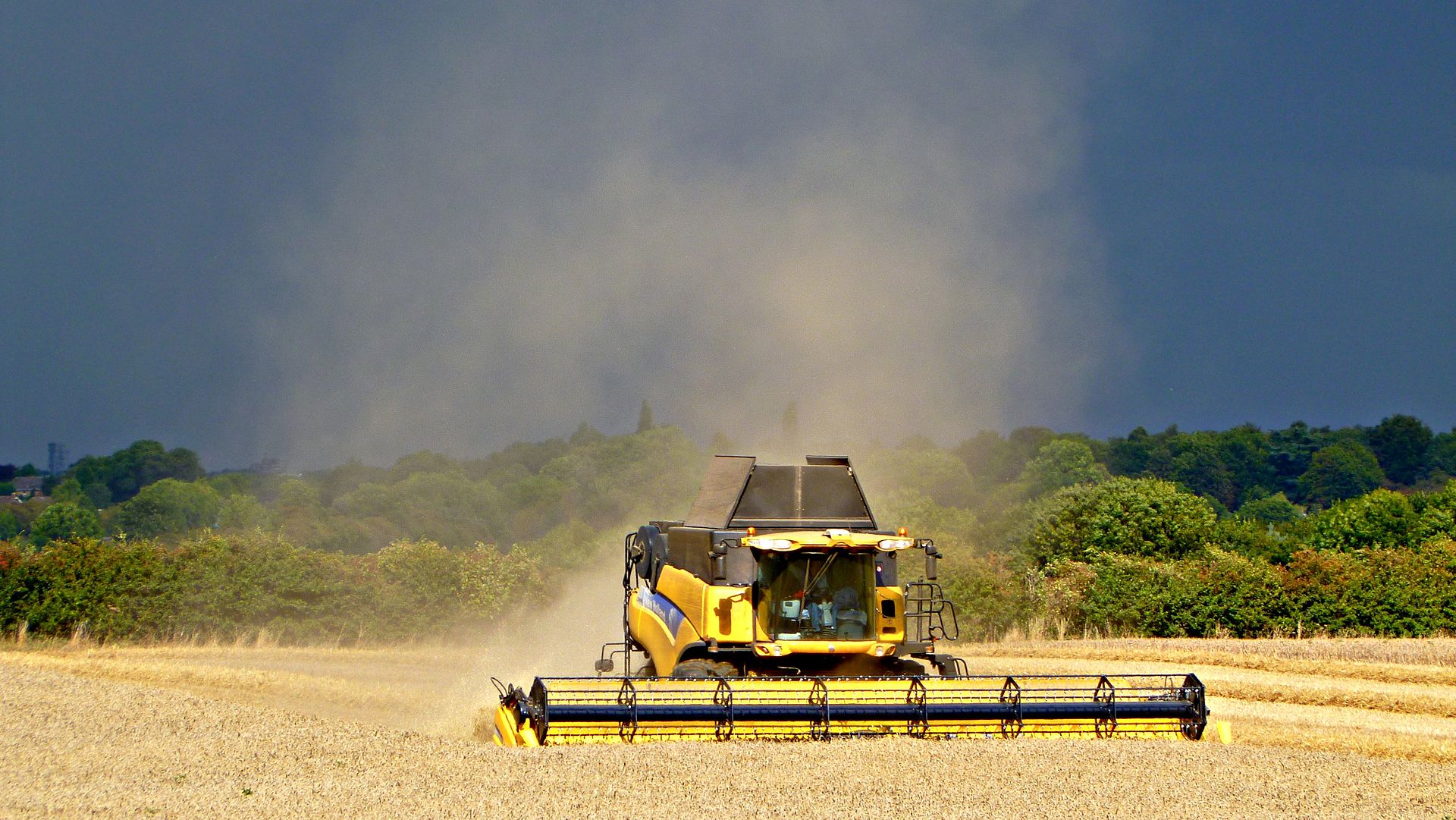 “Today, 1 in 8 people suffer from chronic hunger and more than 1 billion people are undernourished. Ensuring food security for the growing population of the world will require at least 50 percent more food to be made available by 2050"