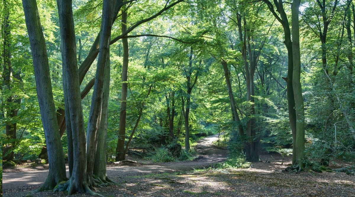 “They would cover some 50,000 hectares, much of which could be in the upland areas of river basins, to help nature to hold water and to reduce the risk of flooding in the long term."