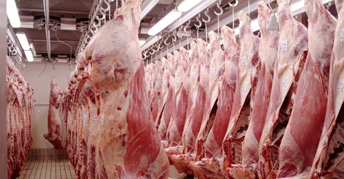 At present, levy is collected at point of slaughter regardless of where animals spent their lives and where value has been added to beef cattle, sheep and pigs