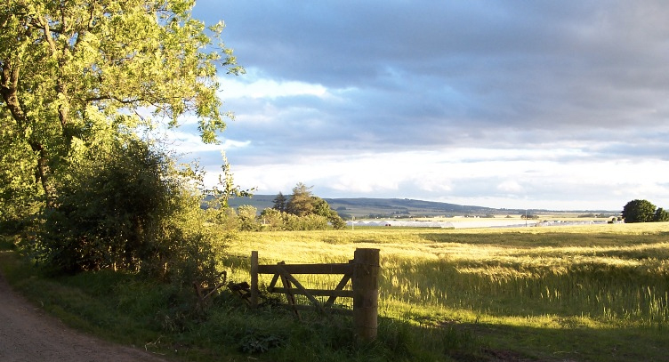 Nowadays decisions on letting land are largely opportunistic and driven by access to CAP payments