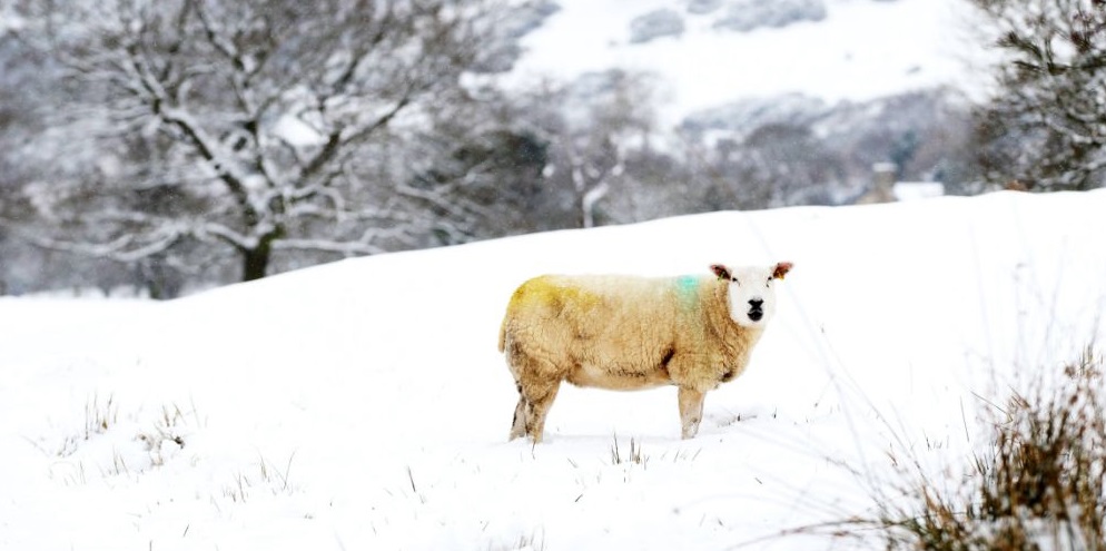 British farming means so much more than great quality food!