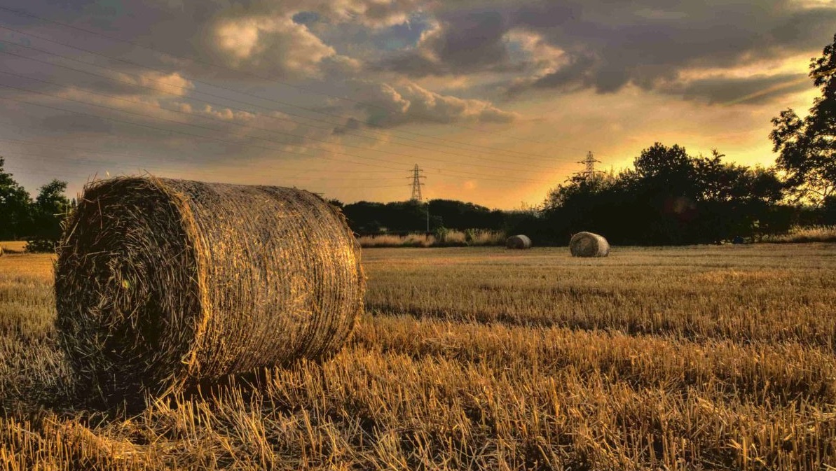 “Cash flow problems are arguably the biggest threat for farm businesses at present", says the NFU