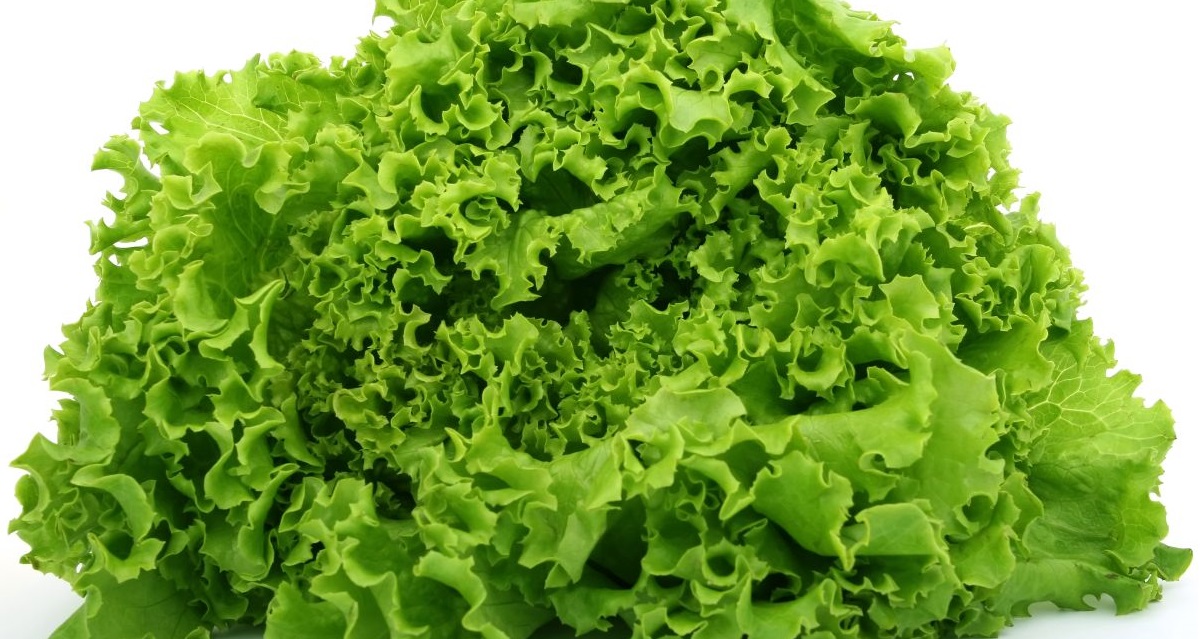 Could eating lettuce be worse for the environment than eating bacon?