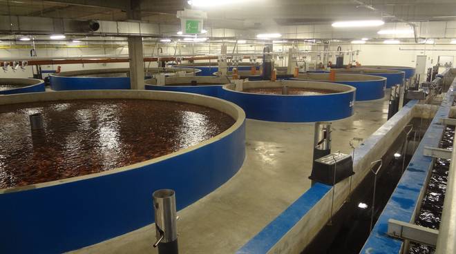 Recirculation (RAS) systems