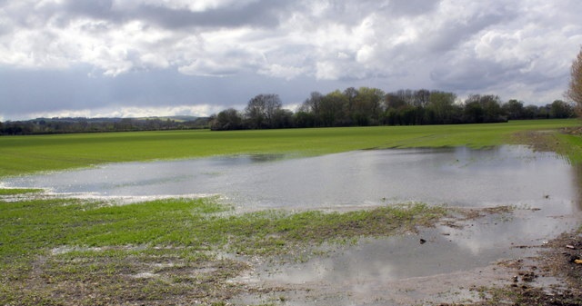 In total, there was enough rainfall to make 2015 one of the top 10 wettest years since 1910