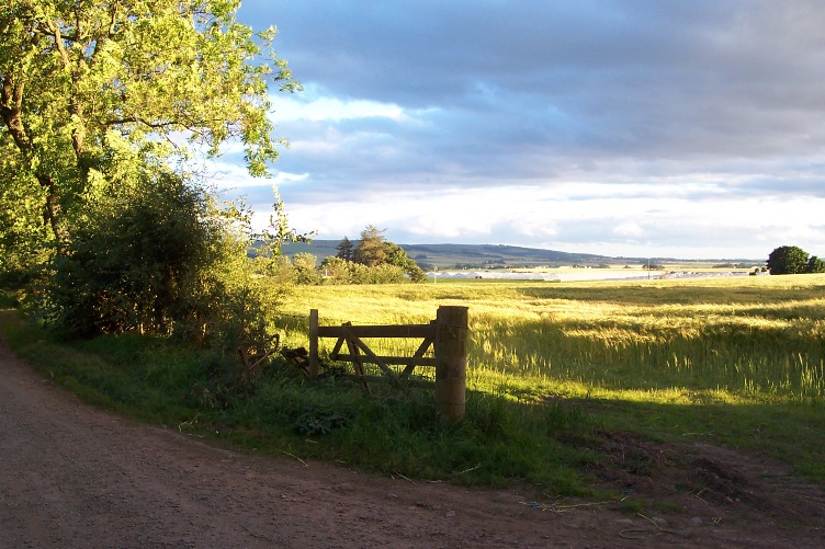Scotland, with the third lowest Pillar 1 [direct support] payment rate per hectare in the EU, was the reason why the UK received this dividend due to Scotland’s below average area payment rates