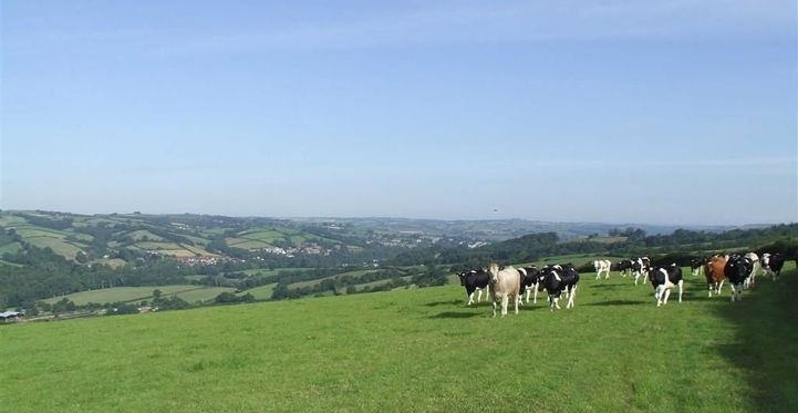 Although the RPA was aiming to make most payments by the end of December 2015, thousands of farmers are still waiting, with many unsure when to expect the money to arrive