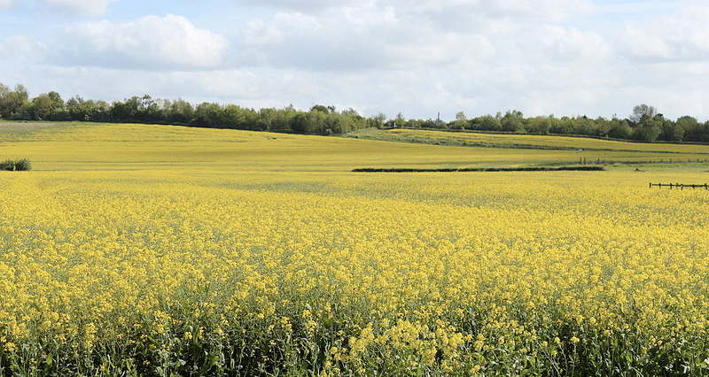 ‘Risk, resilience, reward’ is the theme linking the six free-to-attend events