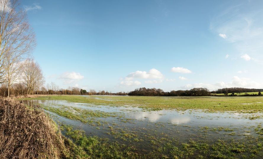 Mr Lindley’s landmark victory might mean councils forced to compensate millions to farmers