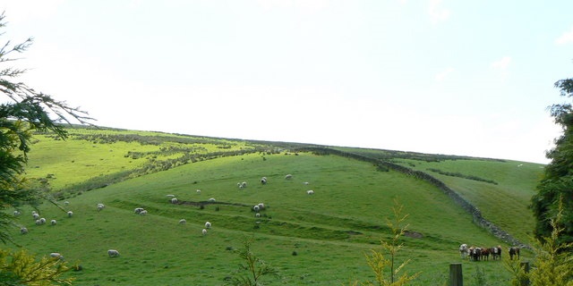 According to a recent report by Agra-Europe entitled ‘Preparing for Brexit’, Wales benefits financially more than any other region of Britain, receiving an average of around £185 per capita each year