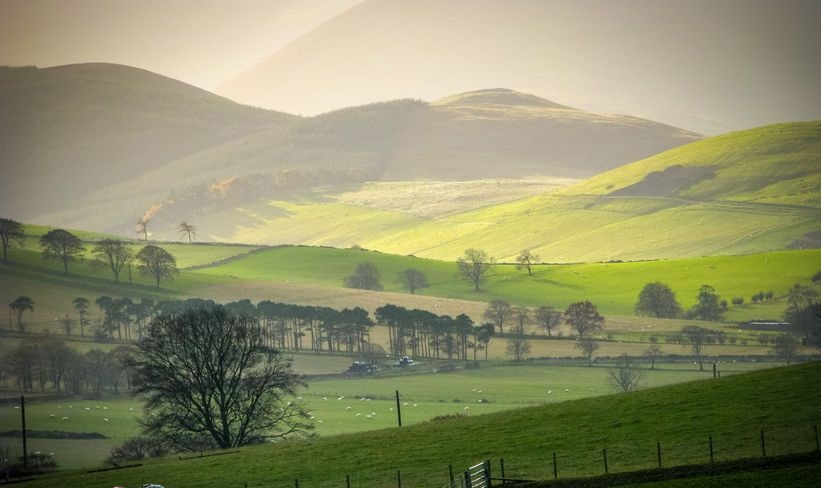 Across all farming sectors, demand for rural land is expected to fall over the next twelve months