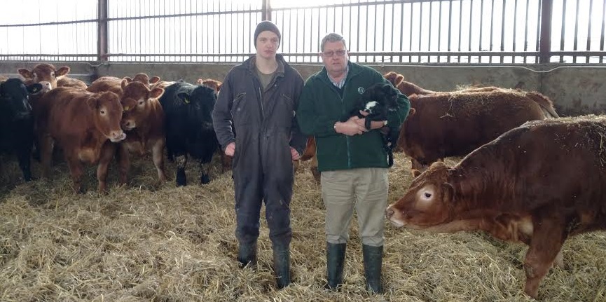 Upper Coton Farms selects mainly Limousins based on their conformation and future potential and markets the finished stock through Selby Auction Marts