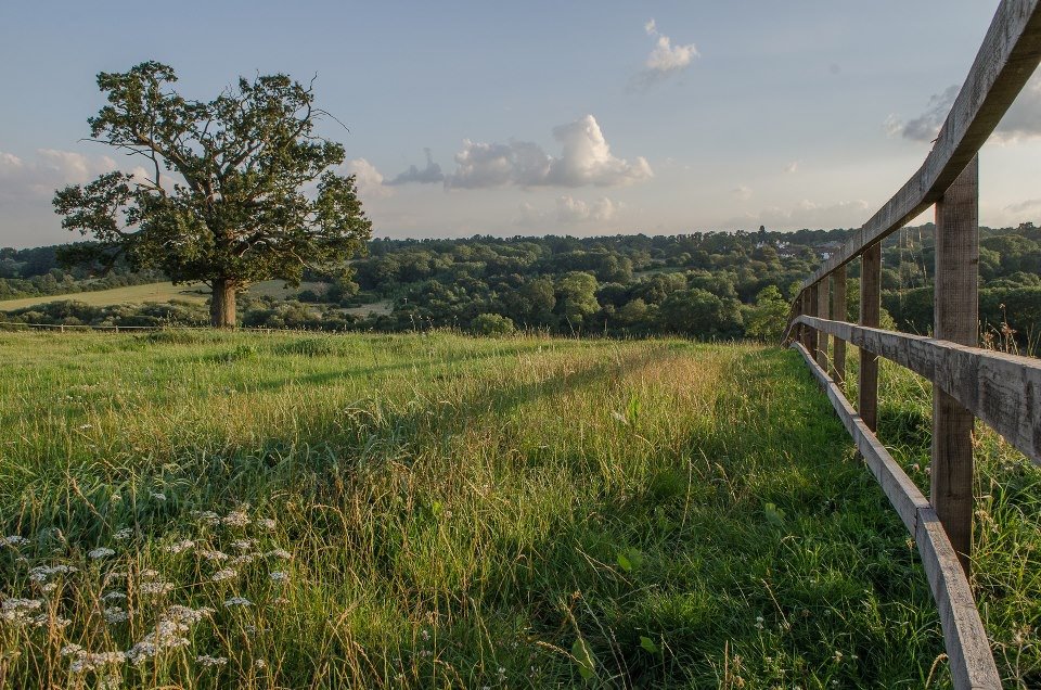 Difficult accessibility, inadequate infrastructures, lack of market & job opportunities, low wages and demographic exodus are some of the problems many rural areas in Europe are facing today