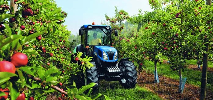 The UK cider sector is one that plays an important role in the rural economy