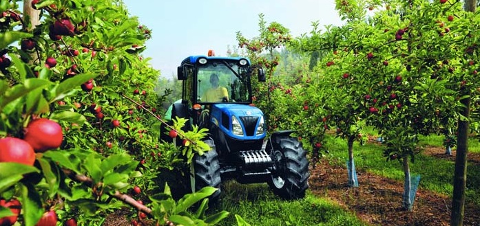 The UK cider sector is one that plays an important role in the rural economy