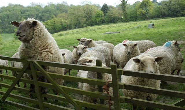 Quarantine Units will allow farmers to keep livestock in them for a minimum of 6 days