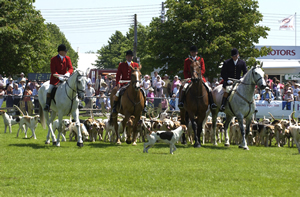 South of England Show - Farming UK
