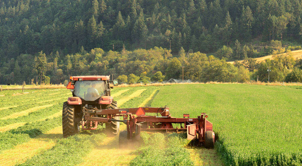 The manifesto highlights the main issues for farmers, topped for now by cash flow difficulties as a result of price volatility