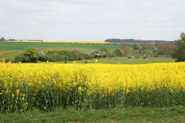 It was noted that unexpected and ‘out of the blue’ issues, including climatic events and political developments could of course affect prices