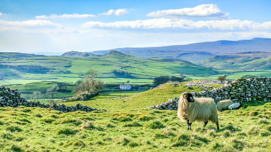 Ensuring the next generation of farmers can get a foothold on the farming ladder is crucial