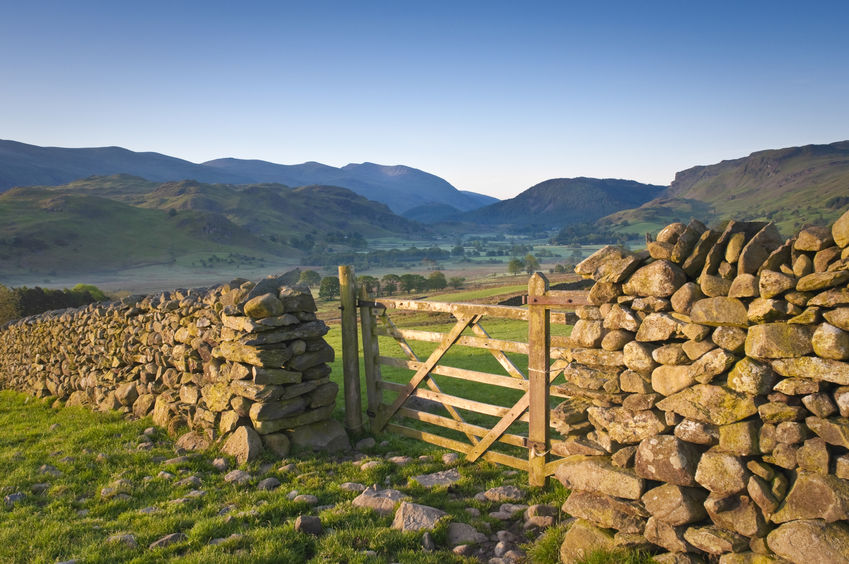 Many farmers rely on CAP payments to turn a profit