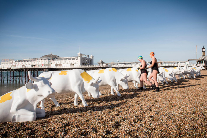 Brighton beach... with cows on it