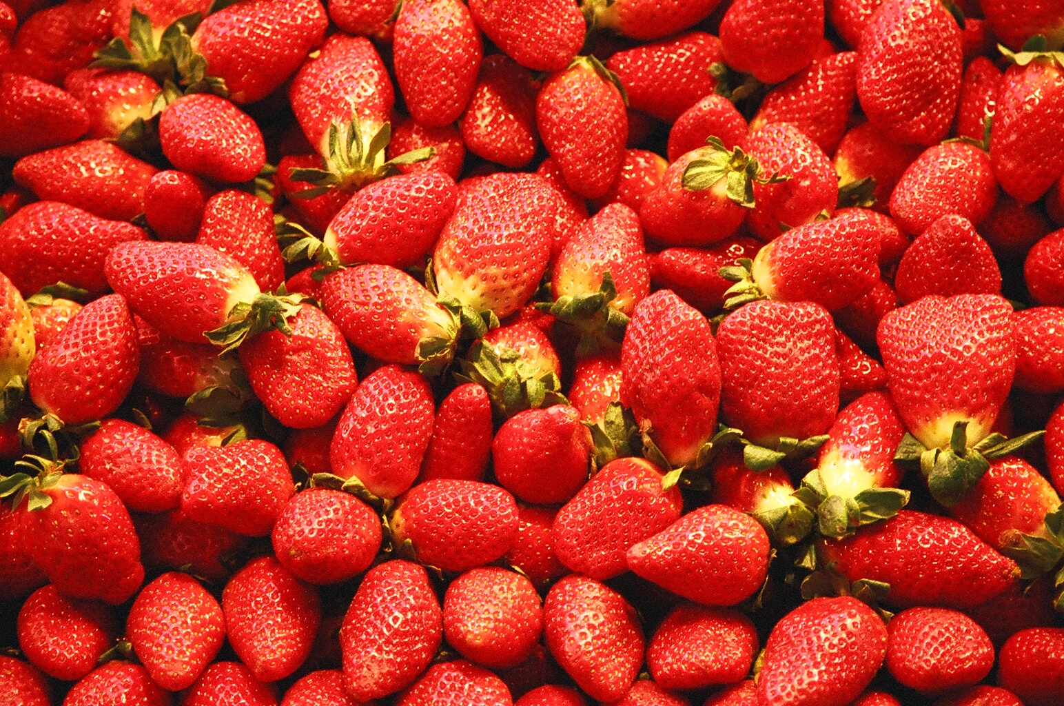 The strawberries were grown near Faversham in Kent by one of the UK’s biggest glasshouse grower of strawberries