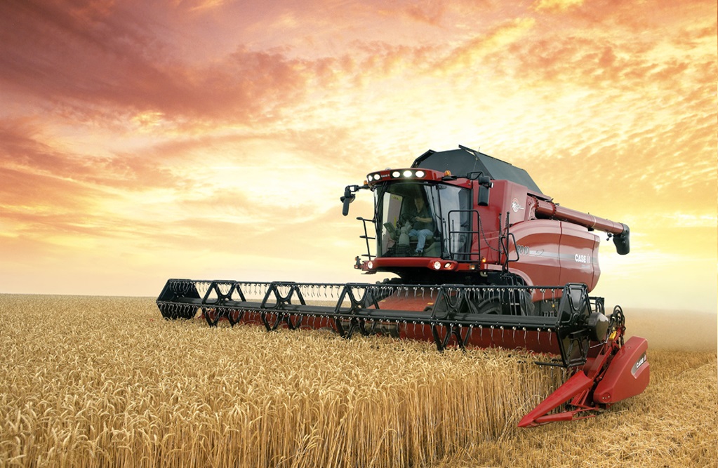 UK cereals balances heavier than earlier forecast