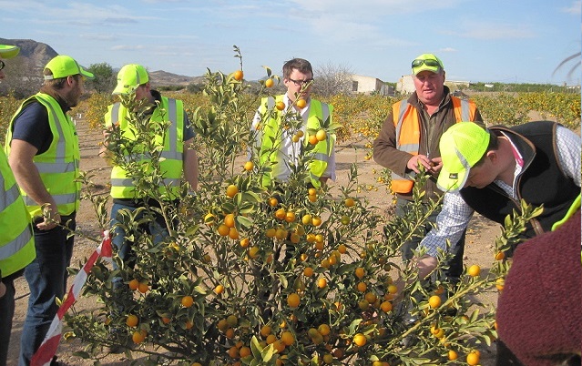 The students visited Murcia on the coast of south-eastern Spain