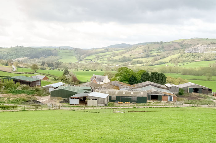 UK Rodenticide Stewardship Regime rules out long term rodenticide baiting around the outside of farm buildings