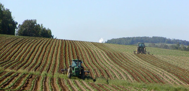 Market conditions continue to challenge the economics of the whole rotation