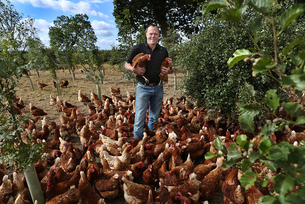 Philip Twizell on the range with his multi-tier housed hens