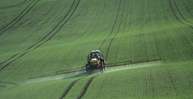 It is estimated that 7-10% of pesticides on the EU market are illegal