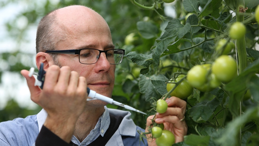 Pests and diseases are real threat to the environment and global food security